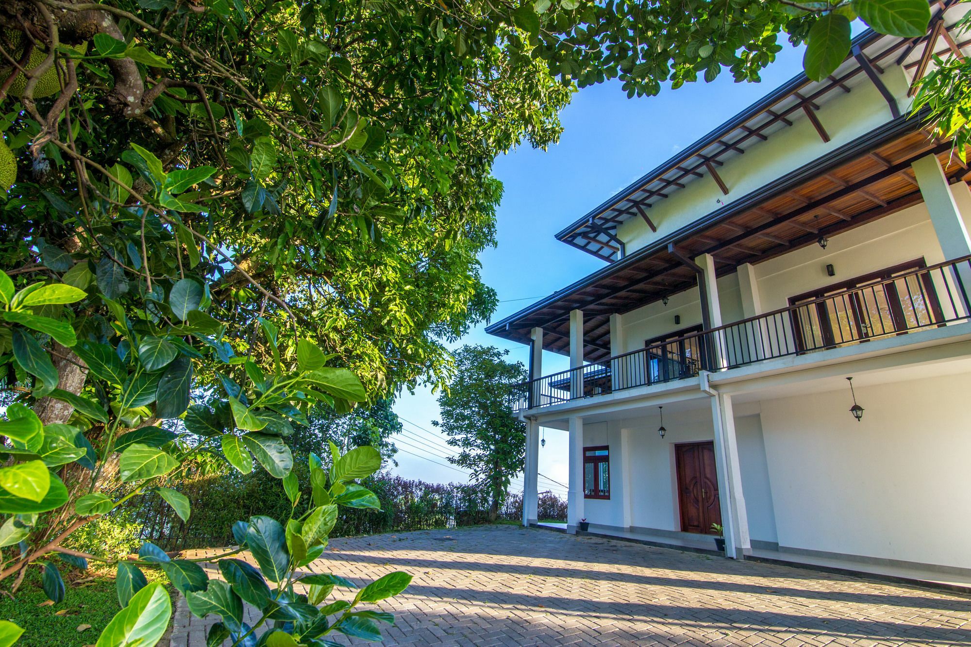 Jack Tree Lodge Kandy Eksteriør bilde